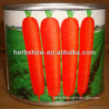 All Sizes Inches Carrot Seeds For Growing